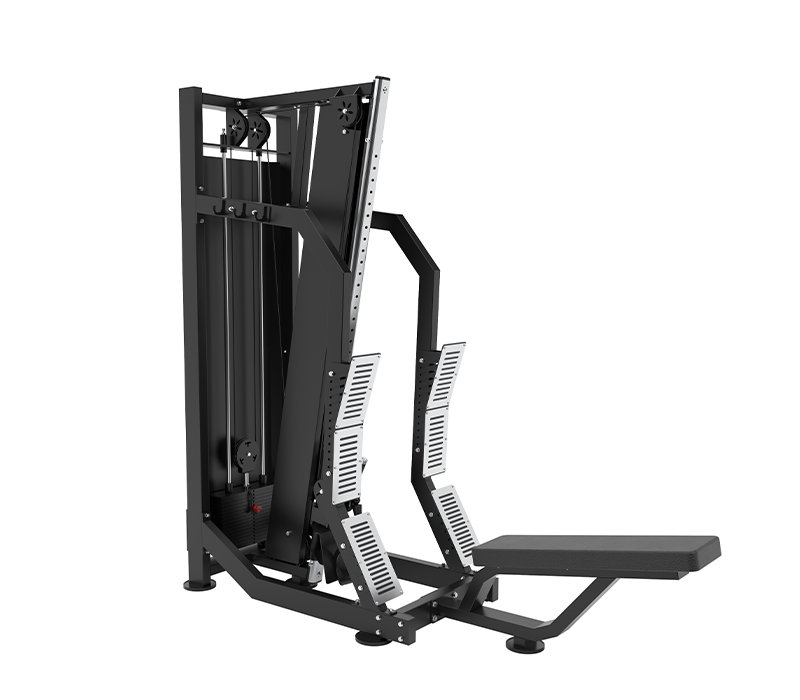Seated High Lat  Pulldown / Low Pulley Row  JG-BM053